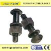 Tension control bolt/tor shear type bolt