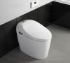 Sanitary Ware Electric Smart Toilet Floor Mounted Intelligent Closesto