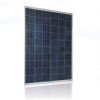 Mono/Poly crystalline PV Panel 