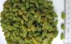 chinese green raisin, ...