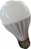 LED Lightbulb