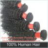 Wholesale unprocessed Kinky Curly Virgin Mongolian Human Hair Weft