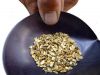 Gold Nuggets on sale w...
