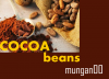 Cocoa beans