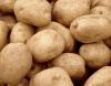 Potatoes viable