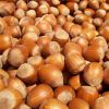 Raw Cashew Nuts W320, Pistachio Nuts &amp; Jumbo Hazelnuts (Filberts)