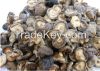 Wild Mushrooms,Frozen & Dried Mushrooms , Truffles & Fungus