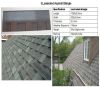 Laminated Asphalt Shingle 