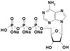 Modified Nucleosides