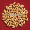 feed wheat for animals for hot sale with good price