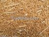 supplier of soft wheat for human consumption