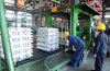 High Pure Aluminum Ingots 99.9% Factory Manufacture