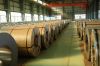 Steel Coil