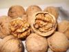 High Quality Shelled Walnut Xinjiang Supply