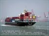 sea freight and logistics service ningbo to india