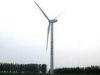 Wind Power Generation