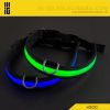 New Popular Pet products China manufacturer dog collar pet accessories