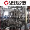 China Manufacture Automatic PET bottle Fresh Juice Filling/Packing Machine