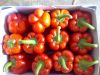 fresh sweet pepper