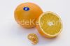 South Africa Fresh Fruits Citrus 15kg carton Type Oranges Navel, Valencia, Mandarin, Lime/ Lemon/ eureka Growers, Exporters, Suppliers