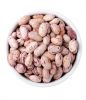 High Quality White Kidney Beans , Adzuki Beans, Speckle Kidney Beans, , Lentils, red Beans, Pulses Exporters, Growers, Suppliers