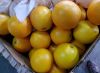 South Africa Fresh Fruits Citrus 15kg carton Type Oranges Navel, Valencia, Mandarin, Lime/ Lemon/ eureka Growers, Exporters, Suppliers