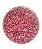 High Quality White Kidney Beans , Adzuki Beans, Speckle Kidney Beans, , Lentils, red Beans, Pulses Exporters, Growers, Suppliers