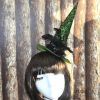 feather witch hat headband snap-on-party theme halloween