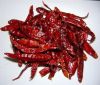 GUNTUR RED CHILLI WORL...