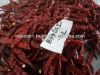 BYADGI RED CHILLI WORL...