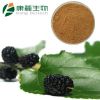 Natrual Mulberry leaf Extract (Powder)