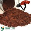 Reishi, Lingzhi, Ganoderma Lucidum, Lingzhi Spores Powder