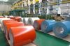 Colour Coated Steel Coils