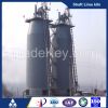 Vertical shaft lime kiln 400TPD lime kiln