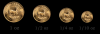 South African Krugerrand Coins