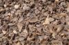 High Quality Palm Kernel Shell