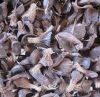 High Quality Palm Kernel Shell