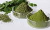 100% Pure Moringa Power Leaf