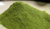 100% Pure Moringa Power Leaf