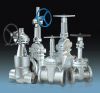 SS Pipe, Pipe Fittings & Flanges