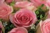 The simulation flower ...