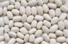 white beans