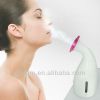 BZ-0304 new product 2014 hot ionic facial steamer