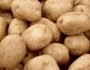 Good Quality Fresh Potatoes