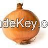 Onion 2014 Crop