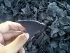 Hardwood charcoal