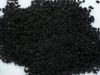BLACK CUMIN