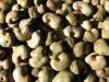 Raw Dried Cashew Nuts for sale  from Africa