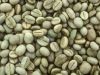 Arabica coffee beans for sale