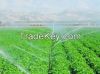 organic silicone surfa...